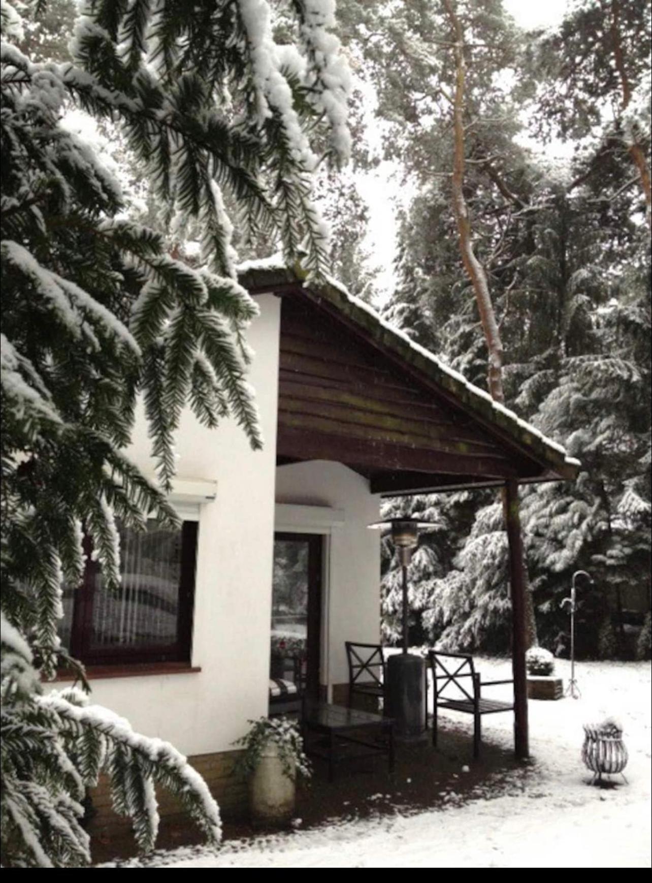 Magical Cottage In The Woods 巴伦 外观 照片